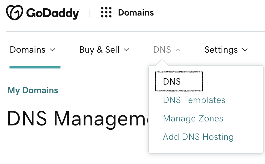 DNS settings