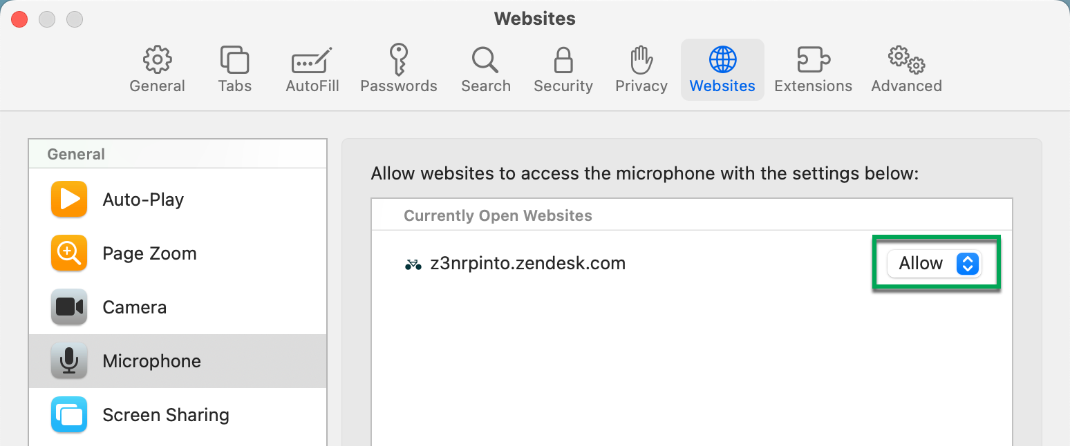 Allow websites to access the microphone in safari