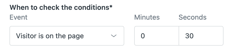 When to check the conditions - Visitor on the page 0 min 30 sec.png