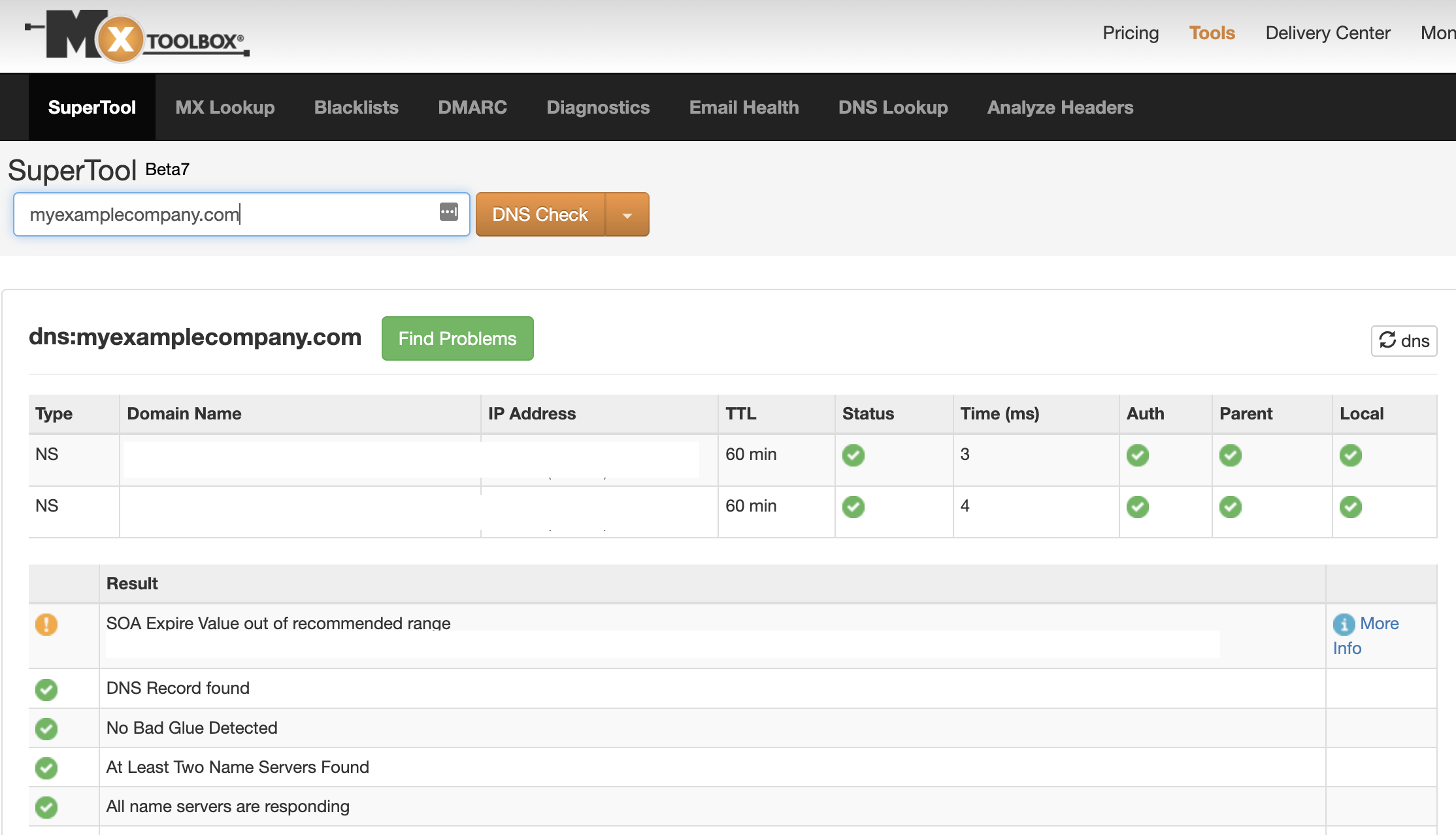 DNS record pass verification