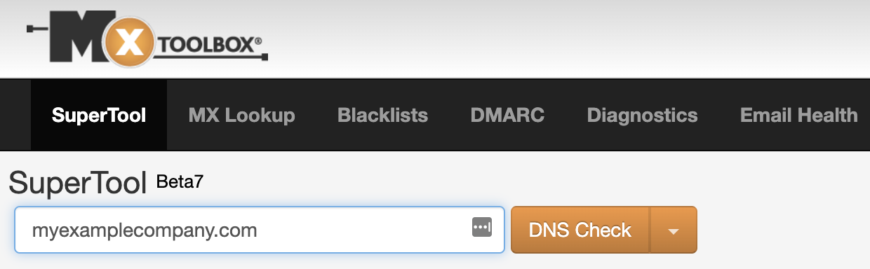 MXtoolbox의 DNS 레코드 조회 필드