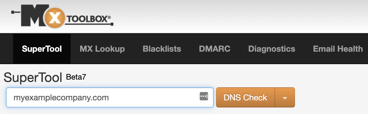 Campo de pesquisa de registro DNS no MXtoolbox