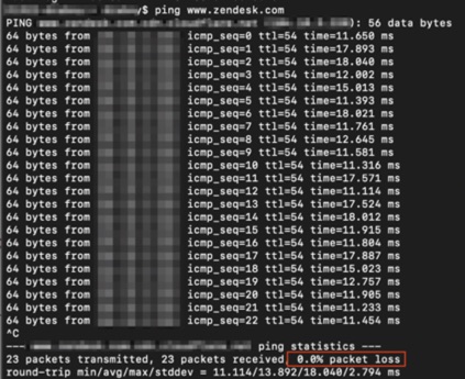 Risultati del test del ping