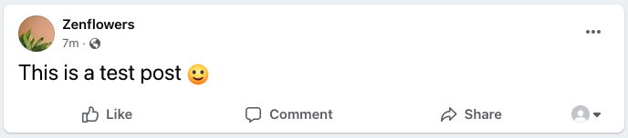 Publicación de prueba en Facebook