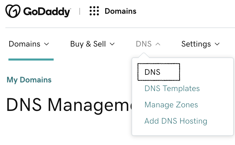 DNS settings.png