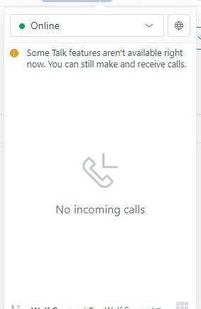 resolved] I can't access online features but still able to chat
